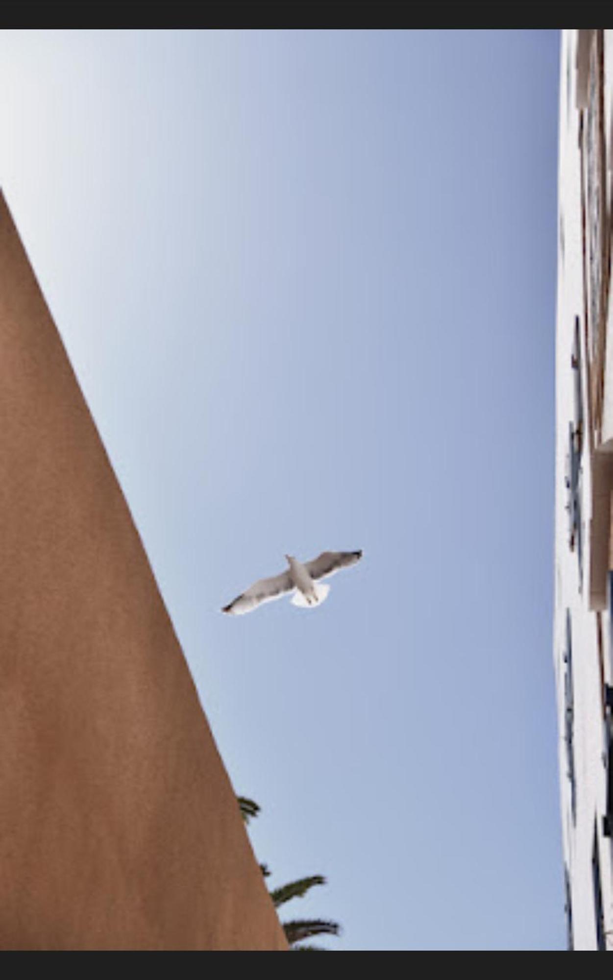 Loft Incroyable En Medina Διαμέρισμα Εσαουίρα Εξωτερικό φωτογραφία